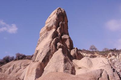 Cappa_0308.jpg
