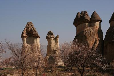 Cappa_0338.jpg