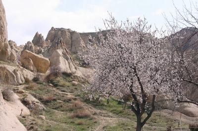 Cappa_0305.jpg