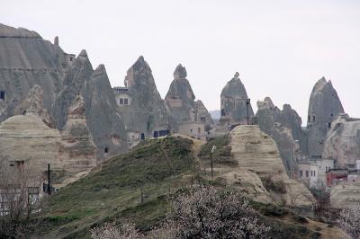 Cappa_0296.jpg