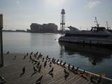 Barcelone_0020.jpg