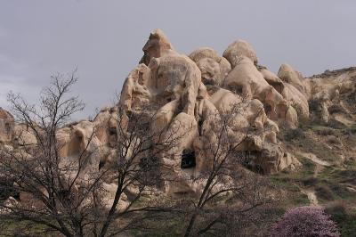 Cappa_0298.jpg