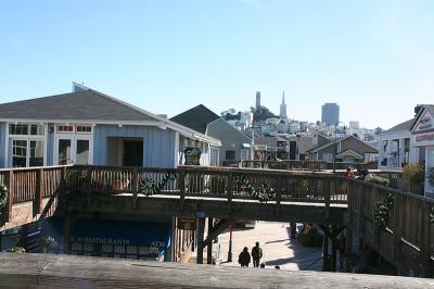 SF_0113.jpg