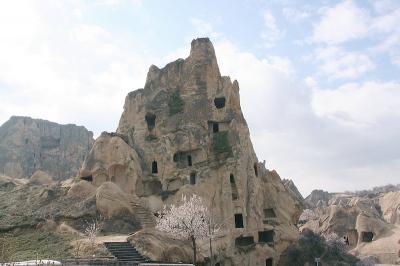 Cappa_0299.jpg