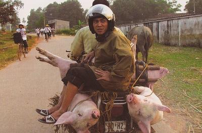 VietCamb_0584.jpg