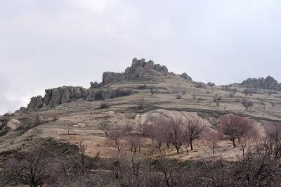 Cappa_0256.jpg