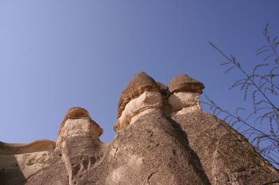 Cappa_0335.jpg