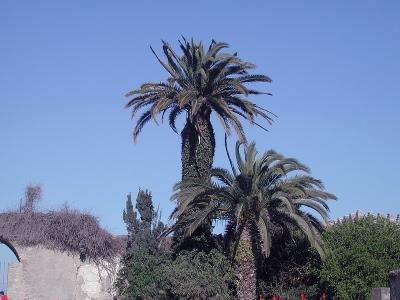 Malaga_0072.jpg