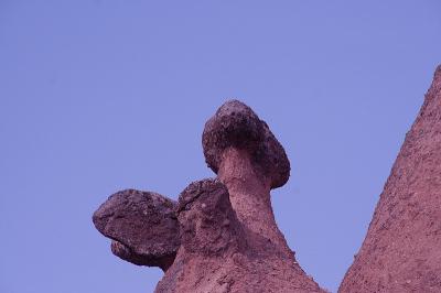 Cappa_0277.jpg