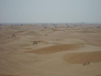 Dubai_Blaise_0071.jpg