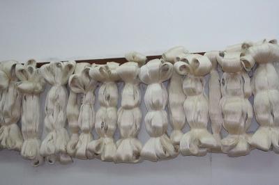 Cappa_0350.jpg