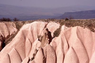 Cappa_0254.jpg