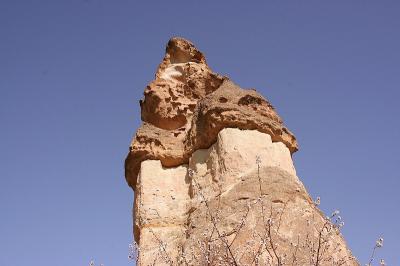 Cappa_0334.jpg