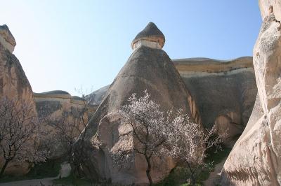 Cappa_0337.jpg