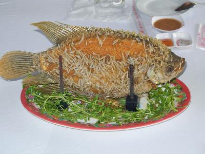 VietCamb_0342.jpg