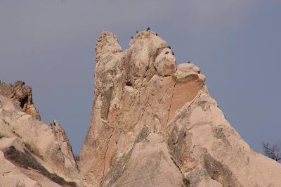 Cappa_0306.jpg