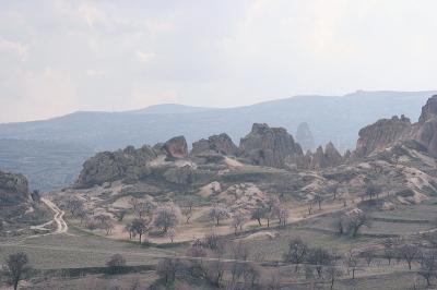 Cappa_0263.jpg