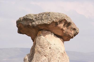 Cappa_0259.jpg