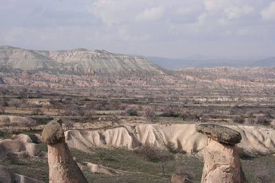 Cappa_0269.jpg