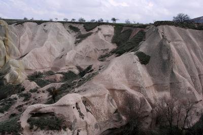 Cappa_0243.jpg